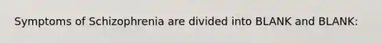 Symptoms of Schizophrenia are divided into BLANK and BLANK: