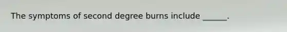 The symptoms of second degree burns include ______.