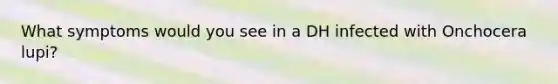 What symptoms would you see in a DH infected with Onchocera lupi?