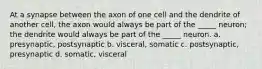 At a synapse between the axon of one cell and the dendrite of another cell, the axon would always be part of the _____ neuron; the dendrite would always be part of the _____ neuron. a. presynaptic, postsynaptic b. visceral, somatic c. postsynaptic, presynaptic d. somatic, visceral