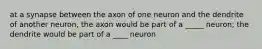 at a synapse between the axon of one neuron and the dendrite of another neuron, the axon would be part of a _____ neuron; the dendrite would be part of a ____ neuron