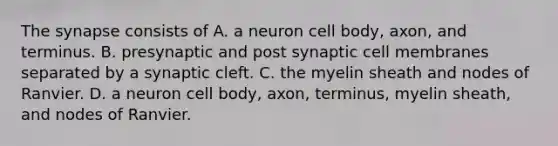 The synapse consists of A. a neuron cell body, axon, and terminus. B. presynaptic and post synaptic cell membranes separated by a synaptic cleft. C. the myelin sheath and nodes of Ranvier. D. a neuron cell body, axon, terminus, myelin sheath, and nodes of Ranvier.