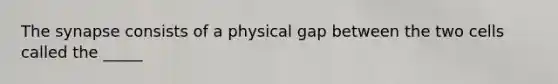 The synapse consists of a physical gap between the two cells called the _____