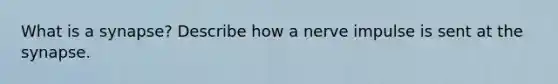 What is a synapse? Describe how a nerve impulse is sent at the synapse.