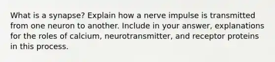 What is a synapse? Explain how a nerve impulse is transmitted from one neuron to another. Include in your answer, explanations for the roles of calcium, neurotransmitter, and receptor proteins in this process.