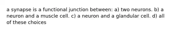 a synapse is a functional junction between: a) two neurons. b) a neuron and a muscle cell. c) a neuron and a glandular cell. d) all of these choices