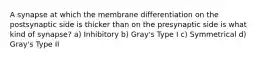 A synapse at which the membrane differentiation on the postsynaptic side is thicker than on the presynaptic side is what kind of synapse? a) Inhibitory b) Gray's Type I c) Symmetrical d) Gray's Type II