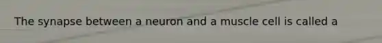 The synapse between a neuron and a muscle cell is called a