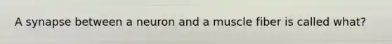 A synapse between a neuron and a muscle fiber is called what?