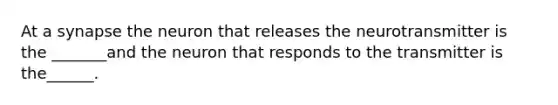 At a synapse the neuron that releases the neurotransmitter is the _______and the neuron that responds to the transmitter is the______.
