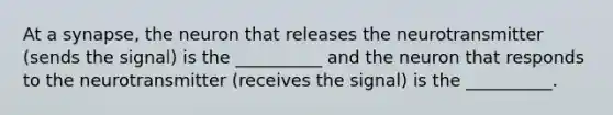 At a synapse, the neuron that releases the neurotransmitter (sends the signal) is the __________ and the neuron that responds to the neurotransmitter (receives the signal) is the __________.