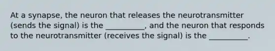 At a synapse, the neuron that releases the neurotransmitter (sends the signal) is the __________, and the neuron that responds to the neurotransmitter (receives the signal) is the __________.