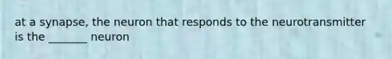 at a synapse, the neuron that responds to the neurotransmitter is the _______ neuron