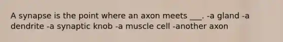 A synapse is the point where an axon meets ___. -a gland -a dendrite -a synaptic knob -a muscle cell -another axon