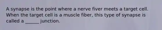 A synapse is the point where a nerve fiver meets a target cell. When the target cell is a muscle fiber, this type of synapse is called a ______ junction.