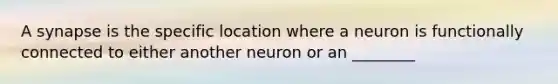 A synapse is the specific location where a neuron is functionally connected to either another neuron or an ________