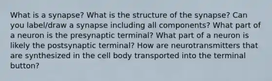 What is a synapse? What is the structure of <a href='https://www.questionai.com/knowledge/kTCXU7vaKU-the-synapse' class='anchor-knowledge'>the synapse</a>? Can you label/draw a synapse including all components? What part of a neuron is the presynaptic terminal? What part of a neuron is likely the postsynaptic terminal? How are neurotransmitters that are synthesized in the cell body transported into the terminal button?