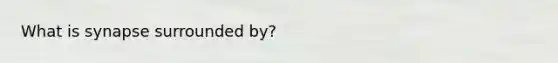What is synapse surrounded by?