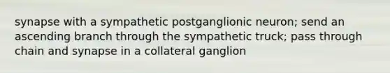 synapse with a sympathetic postganglionic neuron; send an ascending branch through the sympathetic truck; pass through chain and synapse in a collateral ganglion