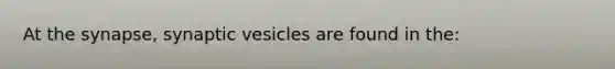 At the synapse, synaptic vesicles are found in the: