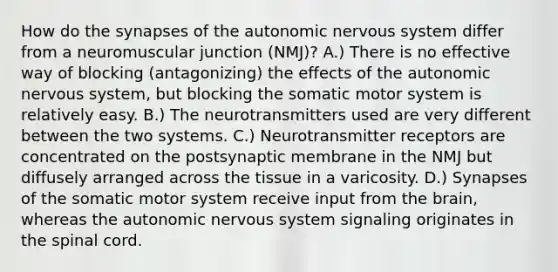 How do the synapses of the autonomic nervous system differ from a neuromuscular junction (NMJ)? A.) There is no effective way of blocking (antagonizing) the effects of the autonomic nervous system, but blocking the somatic motor system is relatively easy. B.) The neurotransmitters used are very different between the two systems. C.) Neurotransmitter receptors are concentrated on the postsynaptic membrane in the NMJ but diffusely arranged across the tissue in a varicosity. D.) Synapses of the somatic motor system receive input from the brain, whereas the autonomic nervous system signaling originates in the spinal cord.