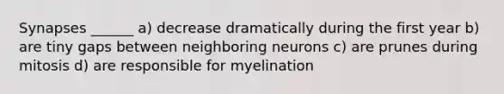 Synapses ______ a) decrease dramatically during the first year b) are tiny gaps between neighboring neurons c) are prunes during mitosis d) are responsible for myelination