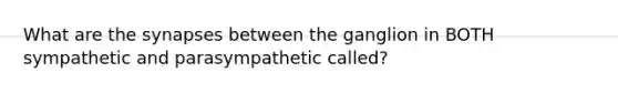 What are the synapses between the ganglion in BOTH sympathetic and parasympathetic called?