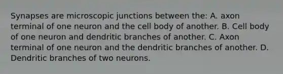 Synapses are microscopic junctions between the: A. axon terminal of one neuron and the cell body of another. B. Cell body of one neuron and dendritic branches of another. C. Axon terminal of one neuron and the dendritic branches of another. D. Dendritic branches of two neurons.