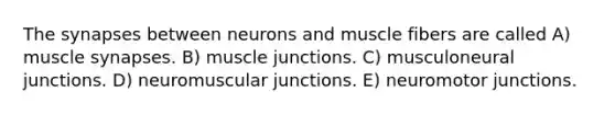 The synapses between neurons and muscle fibers are called A) muscle synapses. B) muscle junctions. C) musculoneural junctions. D) neuromuscular junctions. E) neuromotor junctions.