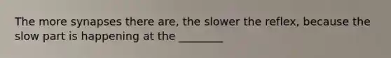 The more synapses there are, the slower the reflex, because the slow part is happening at the ________