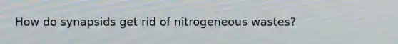 How do synapsids get rid of nitrogeneous wastes?