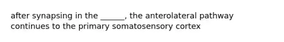 after synapsing in the ______, the anterolateral pathway continues to the primary somatosensory cortex