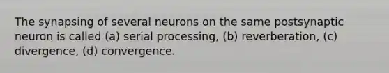 The synapsing of several neurons on the same postsynaptic neuron is called (a) serial processing, (b) reverberation, (c) divergence, (d) convergence.