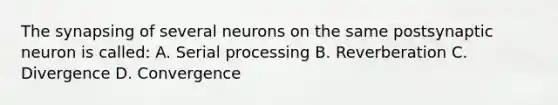 The synapsing of several neurons on the same postsynaptic neuron is called: A. Serial processing B. Reverberation C. Divergence D. Convergence