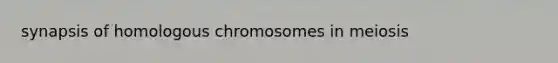 synapsis of homologous chromosomes in meiosis