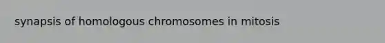 synapsis of homologous chromosomes in mitosis