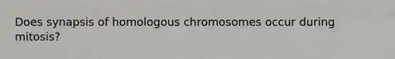 Does synapsis of homologous chromosomes occur during mitosis?