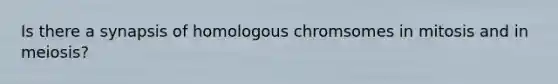 Is there a synapsis of homologous chromsomes in mitosis and in meiosis?