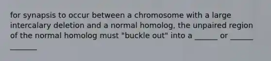 for synapsis to occur between a chromosome with a large intercalary deletion and a normal homolog, the unpaired region of the normal homolog must "buckle out" into a ______ or ______ _______