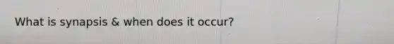 What is synapsis & when does it occur?