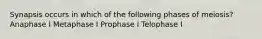 Synapsis occurs in which of the following phases of meiosis? Anaphase I Metaphase I Prophase I Telophase I