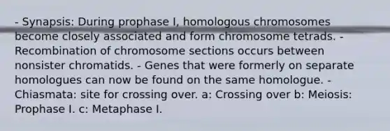 - Synapsis: During prophase I, homologous chromosomes become closely associated and form chromosome tetrads. - Recombination of chromosome sections occurs between nonsister chromatids. - Genes that were formerly on separate homologues can now be found on the same homologue. - Chiasmata: site for crossing over. a: Crossing over b: Meiosis: Prophase I. c: Metaphase I.