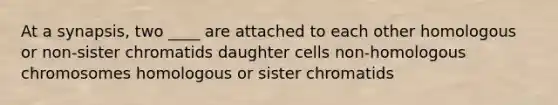 At a synapsis, two ____ are attached to each other homologous or non-sister chromatids daughter cells non-homologous chromosomes homologous or sister chromatids