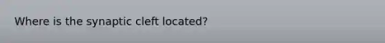 Where is the synaptic cleft located?