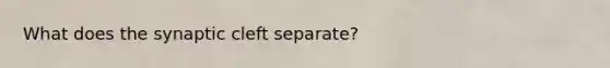 What does the synaptic cleft separate?