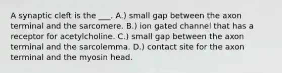 A synaptic cleft is the ___. A.) small gap between the axon terminal and the sarcomere. B.) ion gated channel that has a receptor for acetylcholine. C.) small gap between the axon terminal and the sarcolemma. D.) contact site for the axon terminal and the myosin head.