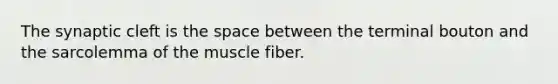 The synaptic cleft is the space between the terminal bouton and the sarcolemma of the muscle fiber.