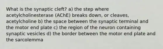 What is the synaptic cleft? a) the step where acetylcholinesterase (AChE) breaks down, or cleaves, acetylcholine b) the space between the synaptic terminal and the motor end plate c) the region of the neuron containing synaptic vesicles d) the border between the motor end plate and the sarcolemma