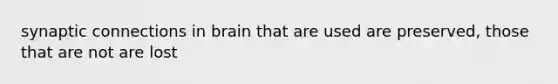 synaptic connections in brain that are used are preserved, those that are not are lost