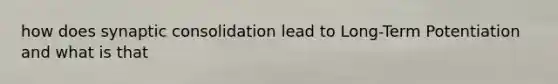 how does synaptic consolidation lead to Long-Term Potentiation and what is that